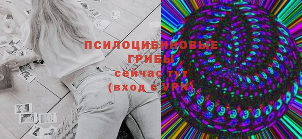 apvp Строитель